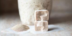 Montículo de levadura seca en grano junto a dos cubos de levadura fresca prensada sobre papel de horno.