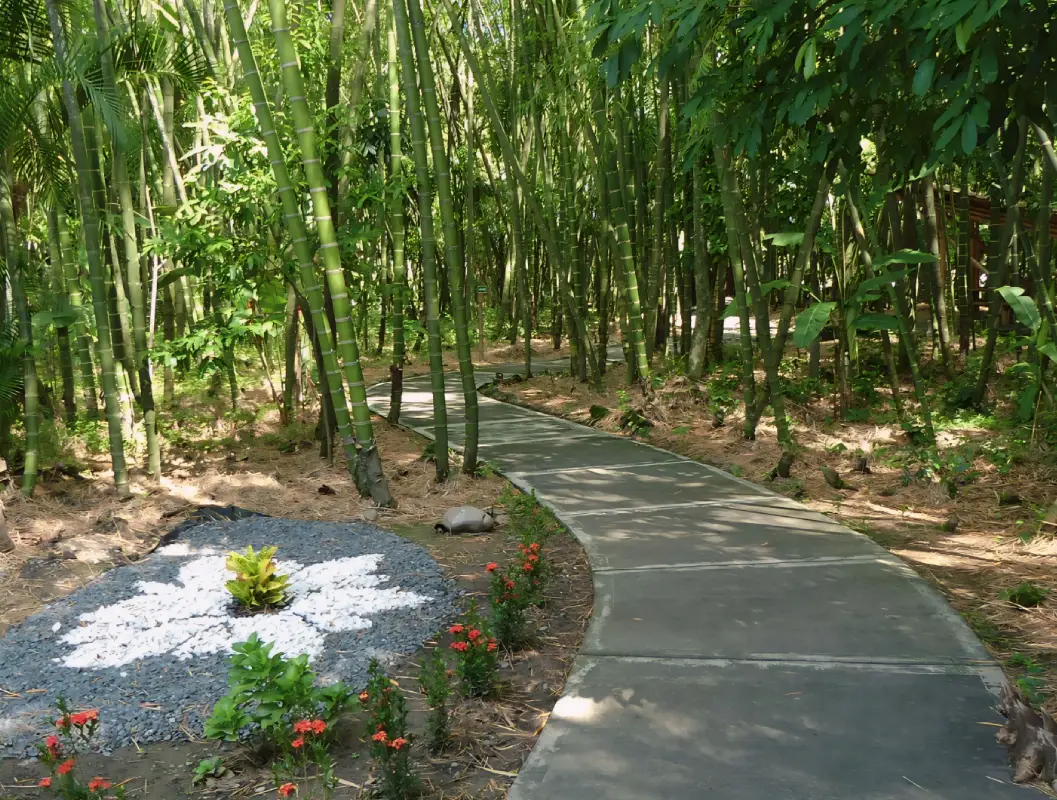 2672, 2672, Parque de la Guadua mobile, Parque-de-la-Guadua-mobile.webp, 166694, https://www.levapan.com/wp-content/uploads/2024/10/Parque-de-la-Guadua-mobile.webp, https://www.levapan.com/sostenibilidad/medio-ambiente/parque-de-la-guadua-mobile/, , 2, , , parque-de-la-guadua-mobile, inherit, 1569, 2024-10-24 17:19:57, 2024-10-24 17:19:57, 0, image/webp, image, webp, https://www.levapan.com/wp-includes/images/media/default.png, 1057, 800, Array