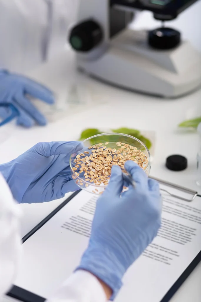 Control de calidad en alimentos: cereales